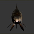 Catfish Carp Sturgeon Bass Freshwater Fish Various Carp Grass Carp Crucian Carp 3d model