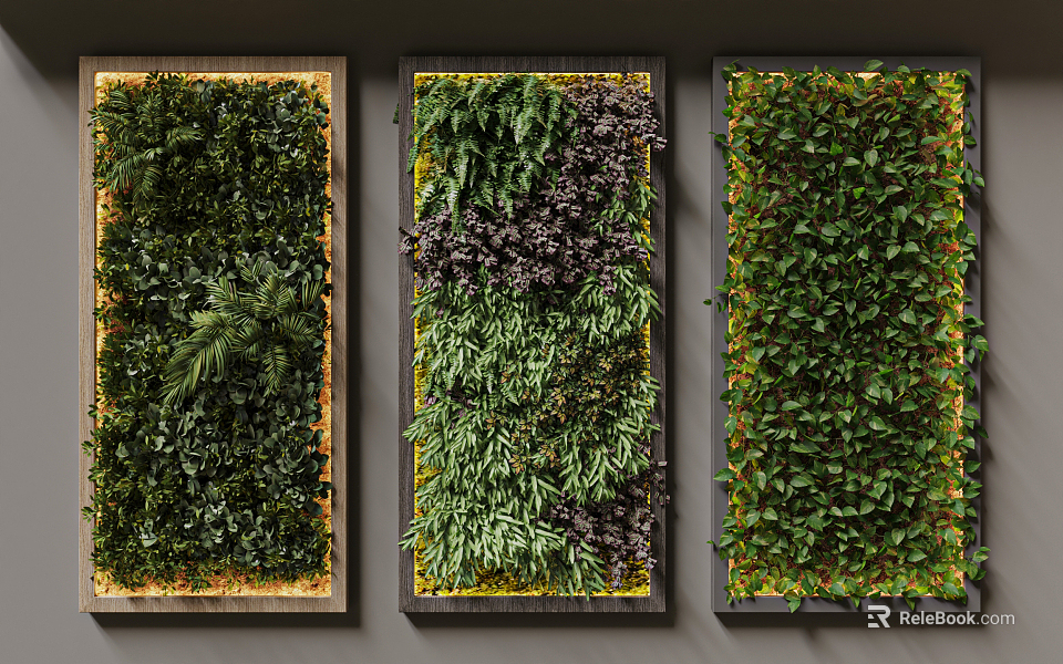 Indoor Living Plant Wall With Three Panels And Various Greenery Design 3d model 