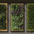 Indoor Living Plant Wall With Three Panels And Various Greenery Design