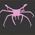Red Crab With Long Legs And Textured Shell On Dark Background With Reflection