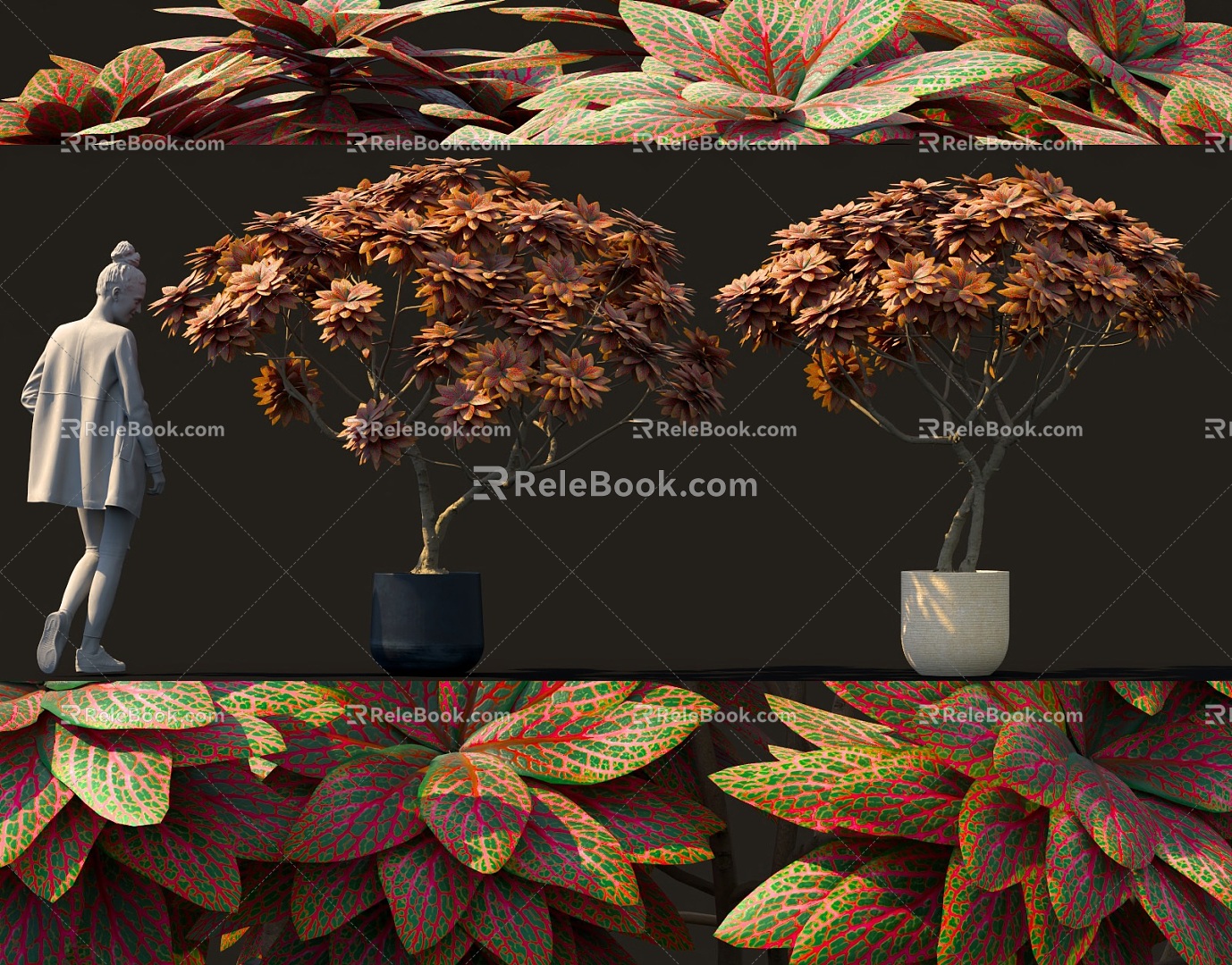 Special-shaped plants potted shrub landscape bonsai 3d model