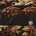 Special-shaped plants potted shrub landscape bonsai 3d model