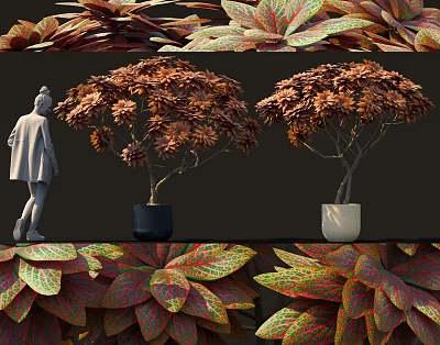 Vibrant Red Orange Leaf Bonsai Tree with Lush Foliage in Black and White Ceramic Pots 3d model