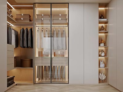 Modern Wardrobe Interior With Glass Doors Hanging Clothes Shelves Drawers And Built-in Lighting 3d model