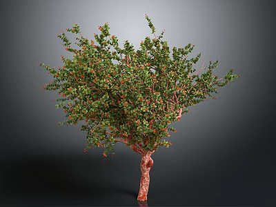 Ornamental Tree With Green Leaves Red Fruits And Red Trunk On Gray Background 3d model