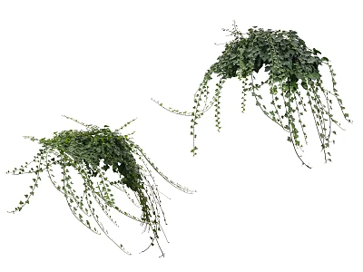 Lush Green Hanging Vines With Long Trailing Leaves For Natural Decor 3d model