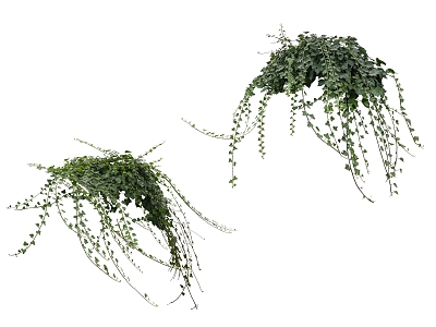 green plant vine 3d model