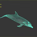 Realistic 3D Dolphin Model With Sleek Gray Body And Anatomical Details Against Gradient Background