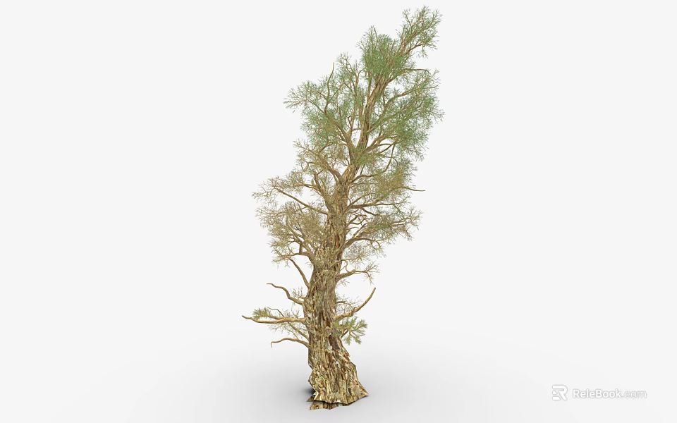 Tall Green Tree With Rough Trunk And Lush Foliage In Natural Setting 3d model 
