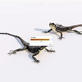 Two Dark Colored Reptile Lizards On White Background With Natural Posture 3d model
