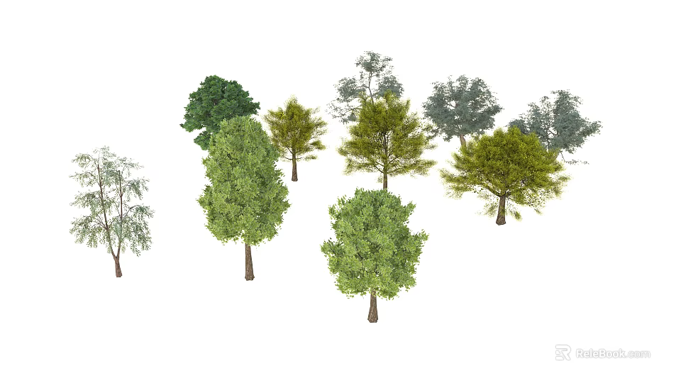 Various Arbor Tree Species with Different Green Foliage and Natural Shapes 3d model 