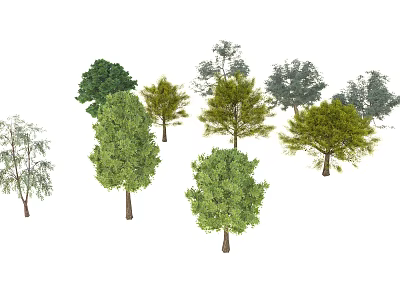 Various Arbor Tree Species with Different Green Foliage and Natural Shapes 3d model