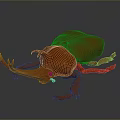 Orange Shiny Beetle with Intricate Horns and Legs on Dark Surface