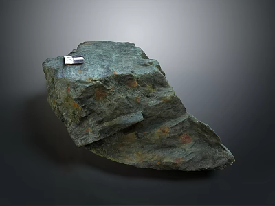 Natural Wood Like Stone Material Sample with Label and Textured Surface 3d model
