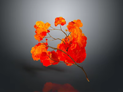 Vibrant Red and Orange Plant with Lush Branches and Blooms on Grey Background 3d model