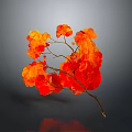 Vibrant Red and Orange Plant with Lush Branches and Blooms on Grey Background