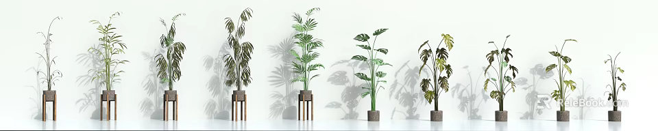 Various Types of Green Potted Plants in Different Flower Pots Against White Wall with Shadows 3d model 