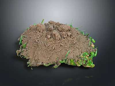 Pit Hole Soil Pit Sand Pit Ground Hole Meteor Crater Natural Landscape Realistic 3d model