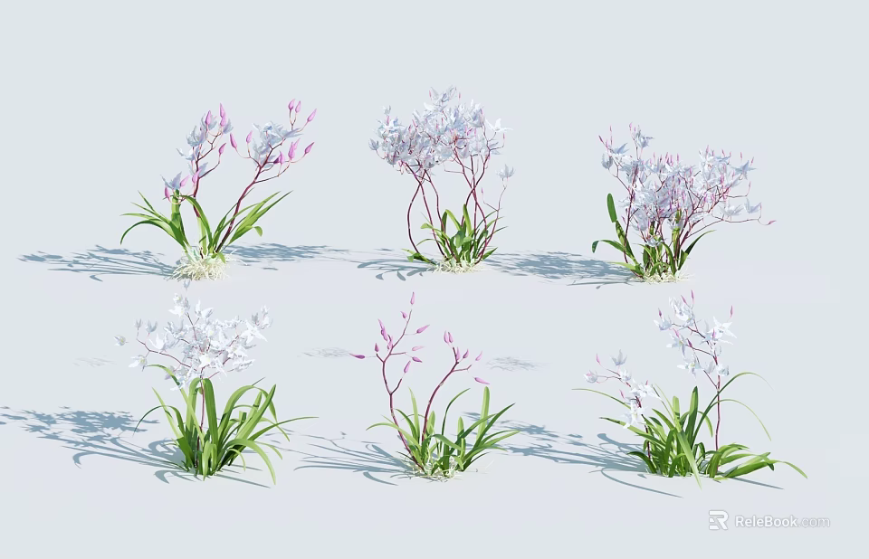 Decorative Purple And White Flowers With Green Leaves Slender Stems On White Background 3d model 