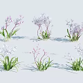 Decorative Purple And White Flowers With Green Leaves Slender Stems On White Background