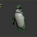 Standing Penguin With Black And White Feathers Red Facial Markings Against Gray Background