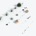 Different Types of Grasses and Small Plants Featuring Varied Heights and Foliage Shapes