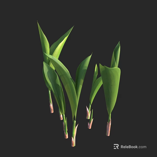 Lush Fresh Green Shrub With Long Narrow Leaves And Pink Stems 3d model 