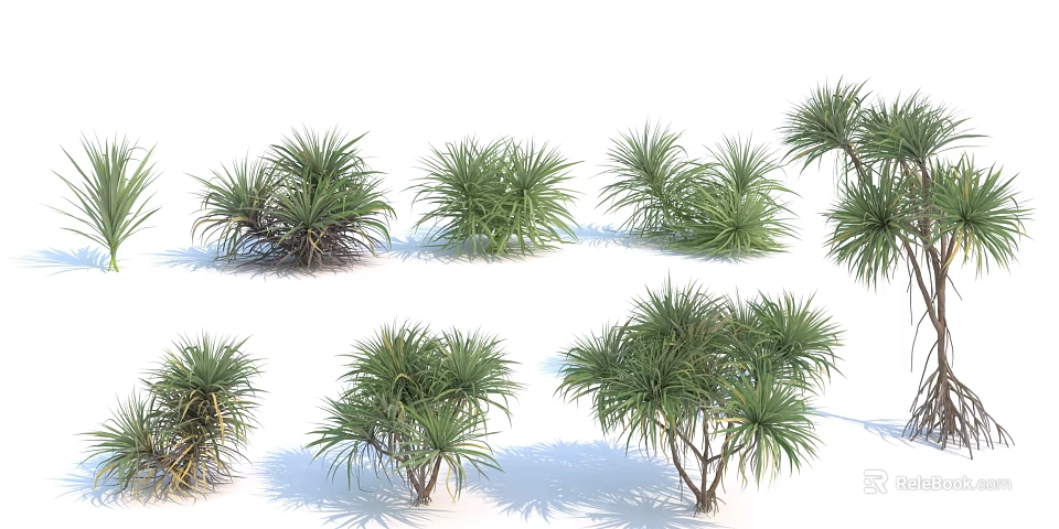 Various Green Leafy Trees With Natural Foliage And Different Growth Forms 3d model 