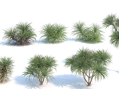 Various Green Leafy Trees With Natural Foliage And Different Growth Forms 3d model