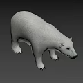 Realistic Polar Bear 3D Model With White Fur And Detailed Claws
