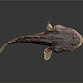 Fish Shaped Rustic Wall Decor With Realistic Texture And Natural Color 3d model