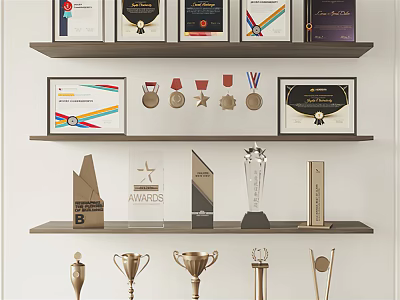 Trophies and Medals Collection Display With Certificates On Organized Shelves Arrangement 3d model