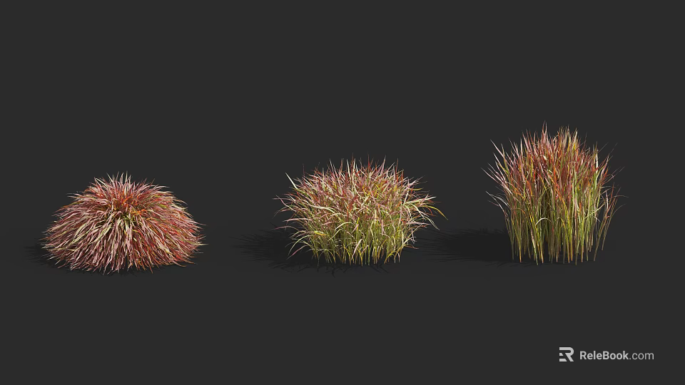 Three Varieties of Ornamental Shrubs with Red and Green Foliage for Garden Landscaping 3d model 