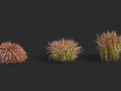 Three Varieties of Ornamental Shrubs with Red and Green Foliage for Garden Landscaping 3d model