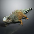 Vibrant Orange And Green Iguana With Spiny Crest Striped Tail And Sharp Claws 3d model