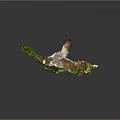 Cave Mountain Cave Realistic 3d model