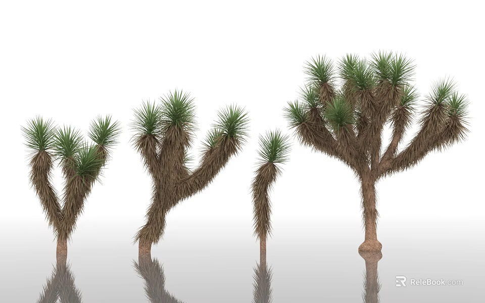 Joshua Trees With Unique Branch Shapes And Green Needle Leaves On Reflective Surface 3d model 