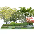 Colorful Foliage Trees With Green Yellow Red Leaves And Shrubs In Garden Landscape