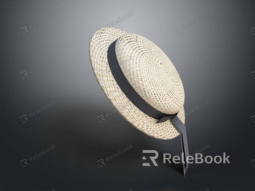 Modern Hat Sun Hat Topper Hat model