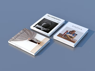 Interior Design Books And Magazines With Kitchen Themes Luxury Interiors Cover 3d model