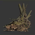 Tree Root System With Exposed Wooden Roots And Natural Rock Base 3d model