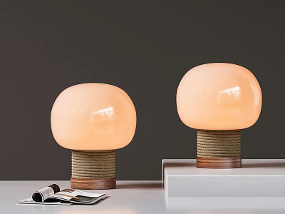 Round Peach Colored Shade Table Lamps With Woven Brown Base On White Table And Magazines 3d model