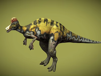 Detailed Colorful Reptile Dinosaur with Red Crest and Yellow Black Stripes in Walking Pose 3d model