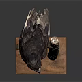 Realistic Black Bird Perched On Tree Branch With Wooden Base Stand