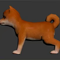 Cute Shiba Inu 3D Model With Realistic Fur And Standing Pose