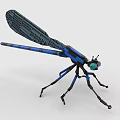 Building Blocks Dragonfly Model With Blue Wings Black Legs And Green Head