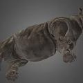 Detailed Realistic Rhinoceros 3D Model in Standing Pose on Gray Background