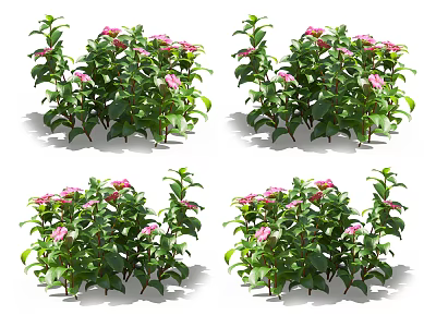 Lush Green Bushes With Vibrant Pink Flowers For Garden And Home Decor 3d model