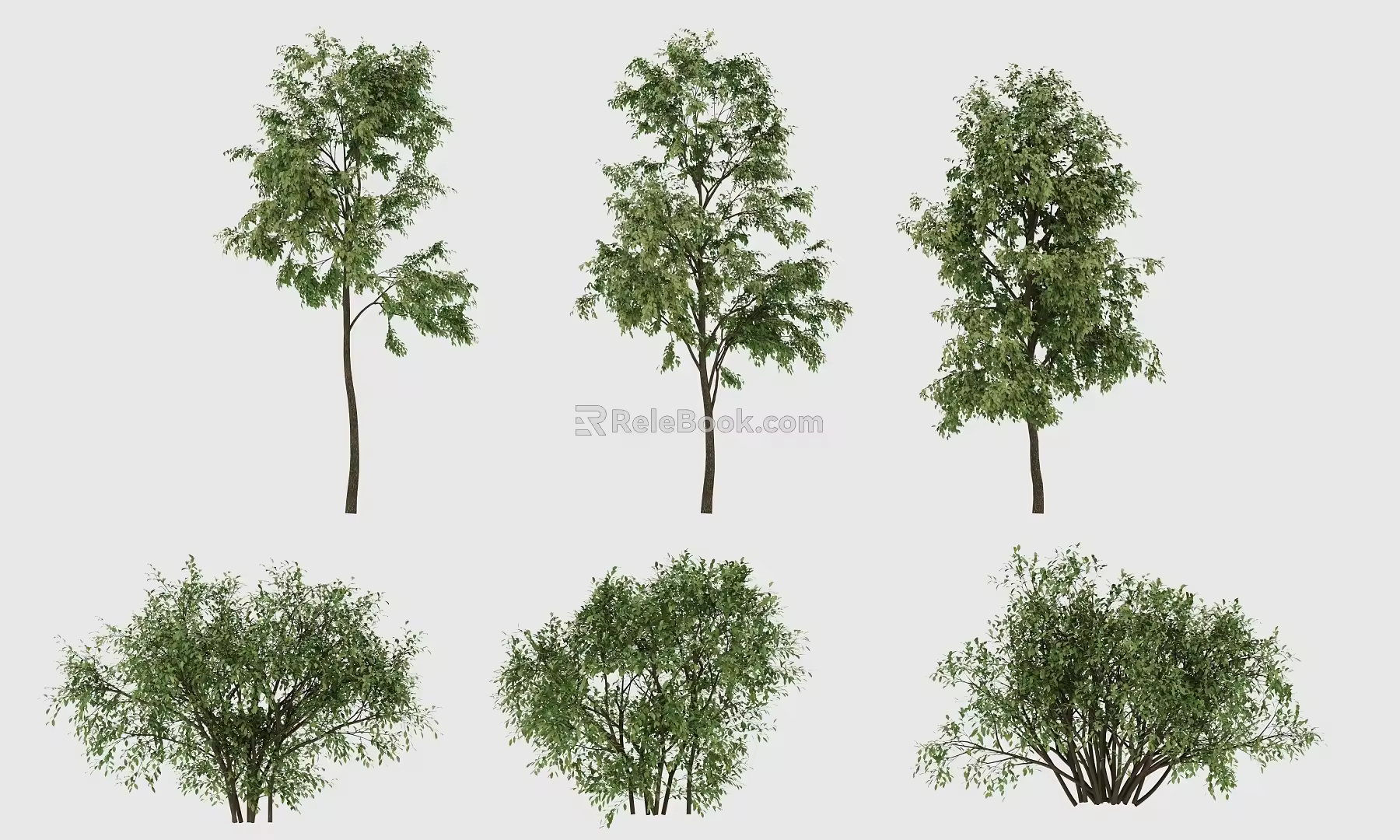 Dynamic Tree Dynamic Plant Wind Tree Group 2 3d model