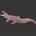 Crocodile Alligator Nile Crocodile carnivore reptile cold-blooded animal reptile 3d model